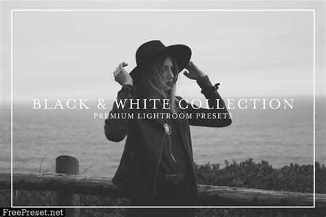 Black & White Lightroom Presets 4475250