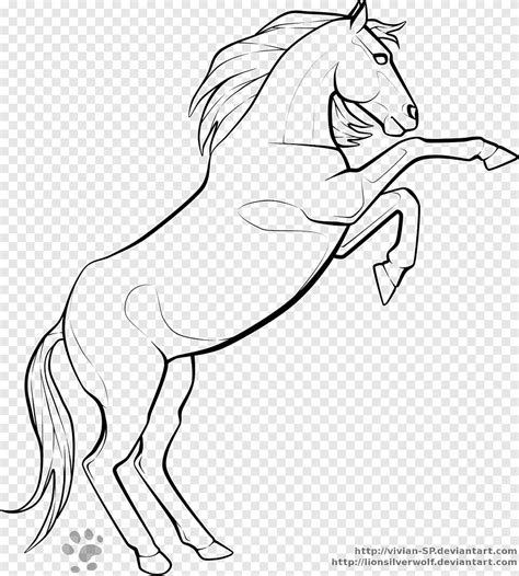 Rearing Horse Outline