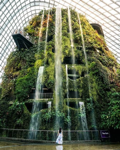 Indoor waterfall in the Cloud Forest Dome, Gardens by the Bay ...