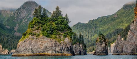 A Voyage to the Glaciers of Prince William Sound Cruise Tour | National ...