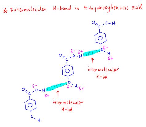 Intramolecular vs Intermolecular Hydrogen Bond