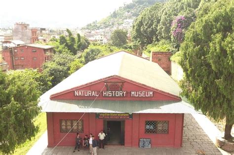 Natural History Museum – KTM Guide