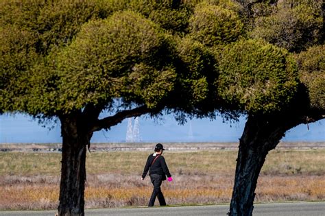 Bay Area weather: Possible record-breaking temperatures forecast for ...