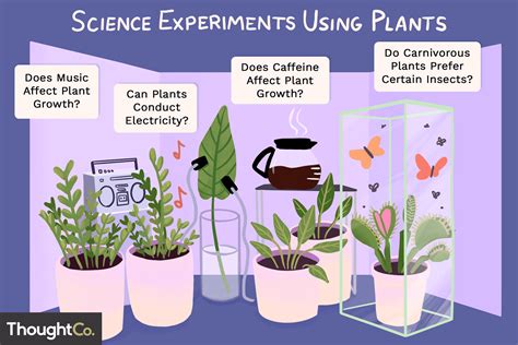 Plant Science Experiment Ideas