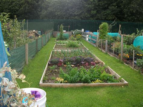 allotment fence ideas - Google Search | Allotment gardening, Garden ...