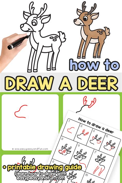 How to Draw a Deer – Step by Step Drawing Tutorial - Easy Peasy and Fun