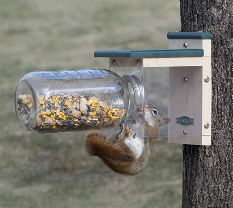 Down Under Squirrel Jar Feeder | Comedero, Jardinería, Manualidades