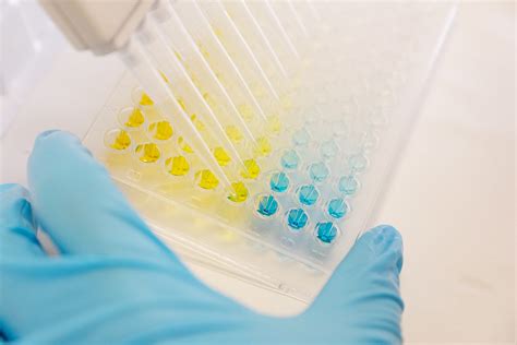 ReadyCell - In vitro cytotoxicity assay