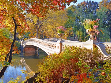 Central Park Fall Foliage Map - Discover NYC