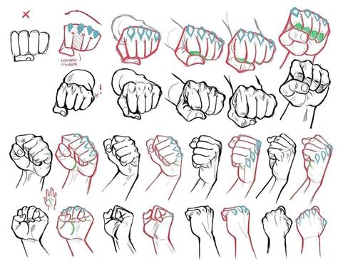 fist ref | Drawing fist, Hand drawing reference, Hand reference