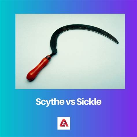 Scythe vs Sickle: Difference and Comparison