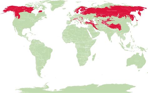 Bear Species Distribution Map