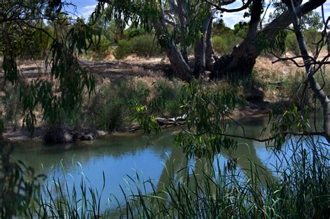 Wimmera River, Horsham