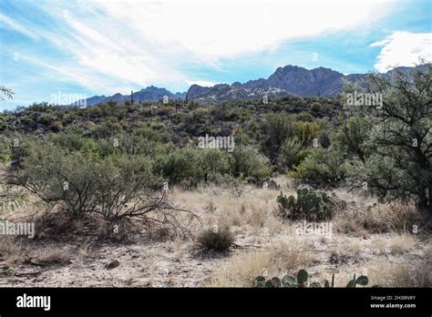 Hiking in Catalina State Park, Arizona.x Stock Photo - Alamy