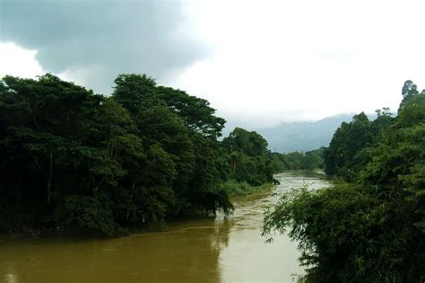 Edit free photo of Mahaweli river,river,green trees,sky,cloudy sky ...