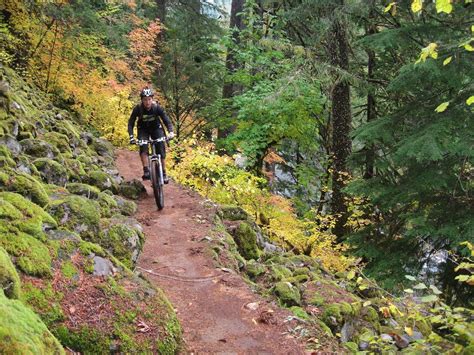 Mountain Bike Trails: McKenzie River Trail, Blue River, Oregon.The ...