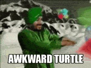 Awkward Turtle | "Tunak Tunak Tun" Dance | Know Your Meme