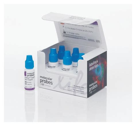 Invitrogen™ Molecular Probes™ NucBlue Fixed Cell ReadyProbes™ Reagent ...