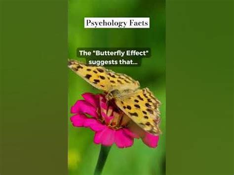 The Butterfly Effect Psychology Facts #shorts #psychologyfacts - YouTube