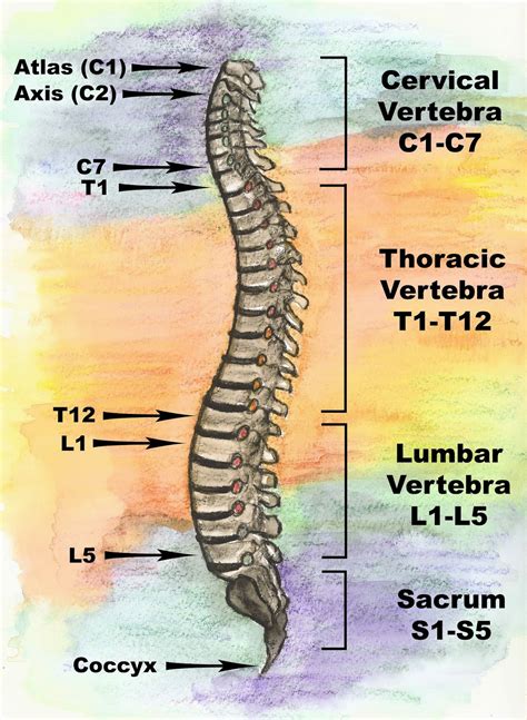 BruceBlog: Injury Details, Healing and Friends :: Bruce Snyder's Status