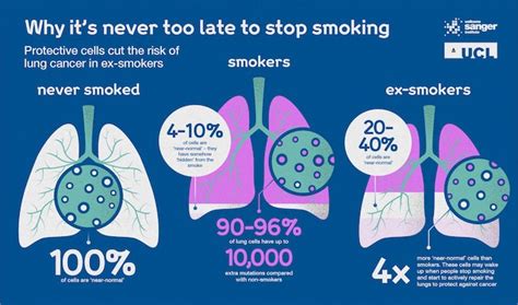 Never Too Late: New Study Finds Lungs ‘Magically’ Repair Themselves ...