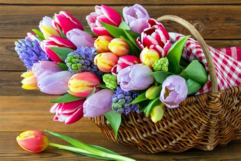 Download Basket Colorful Tulip Spring Man Made Flower HD Wallpaper