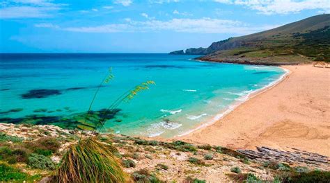 Cala Mesquida 〗 Calas and Beaches - Mallorqueando