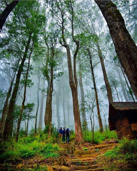 Amazing Places To Travel: Ohiya - Sri Lanka