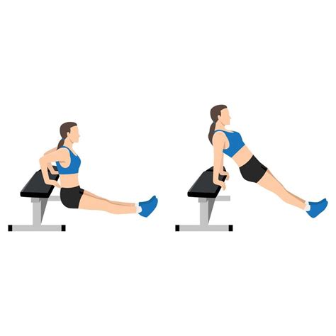 Woman doing bench tricep dips exercise. Flat vector illustration ...