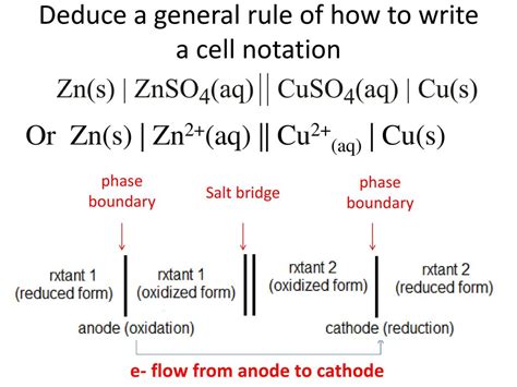 How To Write Cell Notation – Utaheducationfacts.com