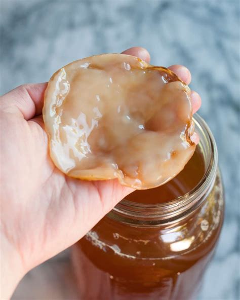 Did You Know You Can Make Clothes out of Your Kombucha Scoby? | Kitchn