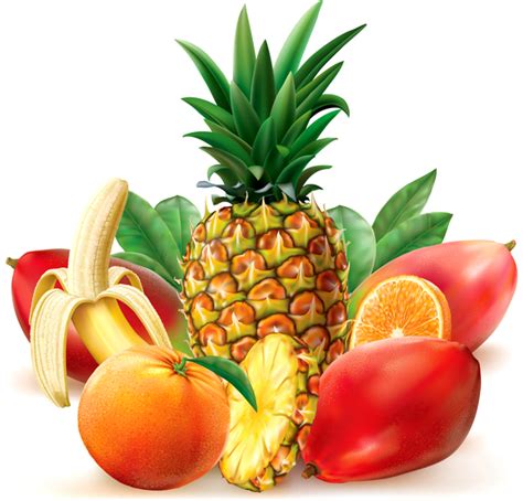 Juicy tropical fruit vector free download