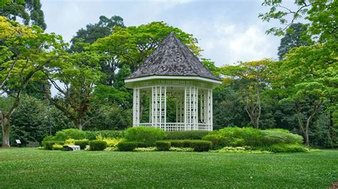 Singapore Botanic Gardens-National Orchid Garden - 27 Febr… | Flickr