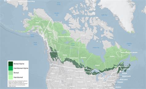 Boreal Forests of North America are Shrinking - Geography Realm