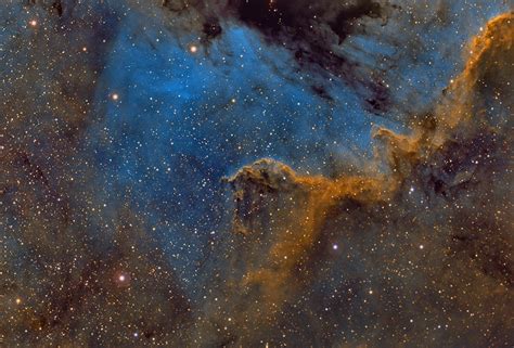 The Cygnus Wall - Part of the North America Nebula (NGC 7000) - Sky ...