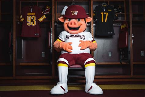 Washington Commanders’ new porky mascot: Major Tuddy - WTOP News