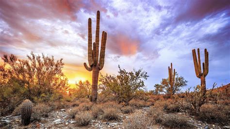 √ Desert Landscape Desktop Wallpaper - Popular Century