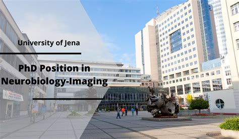 PhD Positions in Neurobiology – Imaging at University of Jena, Germany