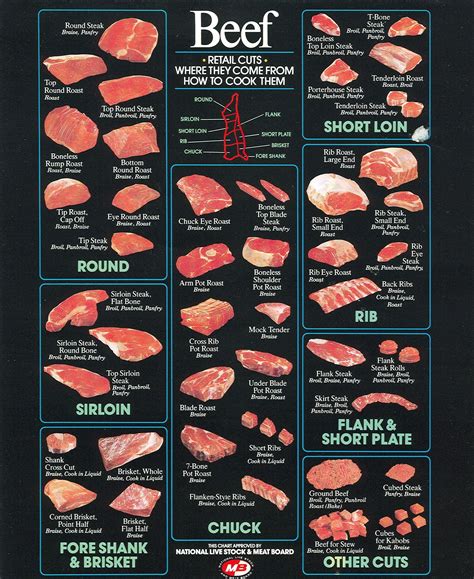 Printable Beef Cuts Of Meat Butcher Chart