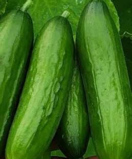 Cucumbers, Snacking - 1/2#