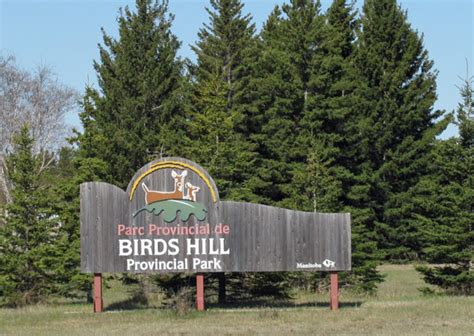 Expect driving delays in Birds Hill Provincial Park during Canada ...