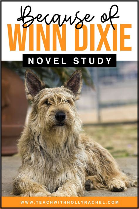 Because of Winn-Dixie Novel Study in 2020 | Novel studies, Reading ...