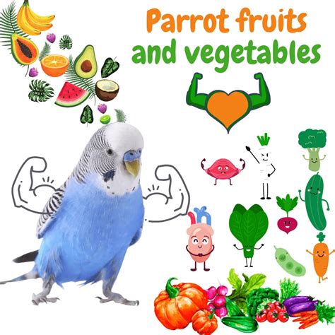 Parrot fruits and vegetables - What fruits and vegetables can parrots eat