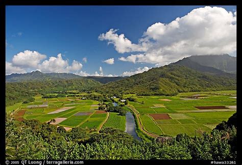 Picture/Photo: Hanalei Valley from Hanalei lookout. Kauai island ...