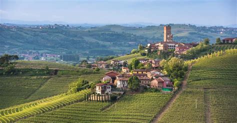 Turin: Private Barolo Wine Region Day Trip with Lunch | GetYourGuide