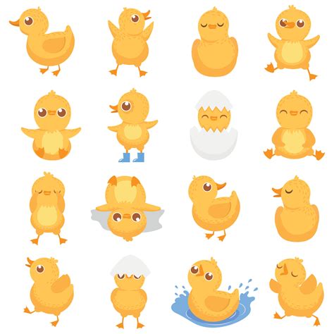 Yellow duckling. Cute duck chick, little ducks and ducky baby isolated ...