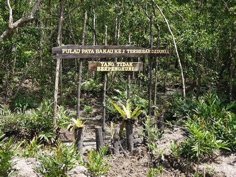 Enjoying holidays in JB places!!: Pulau Kukup Johor National Park