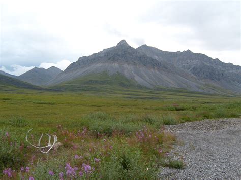 Alaska's Brooks Range | Arctic Region | About the Brooks Range, Alaska