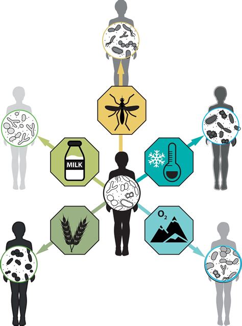 The role of the microbiota in human genetic adaptation | Science