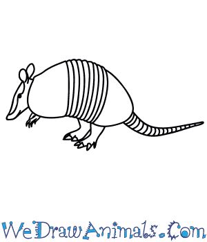 How to Draw an Armadillo